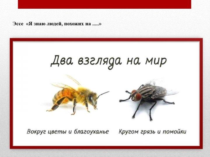 Мұғалімдер шығармашылығы